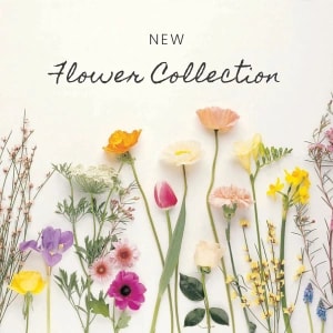 flower-collection.png
